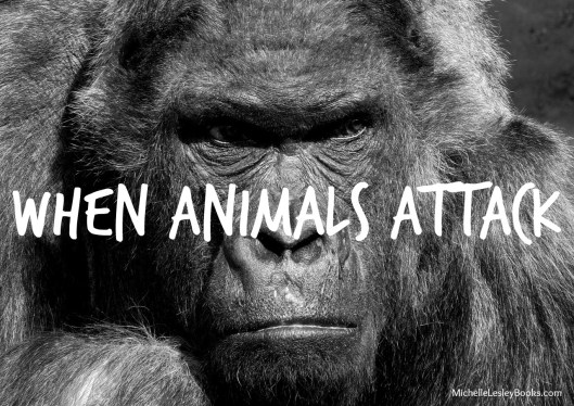 animals-attack