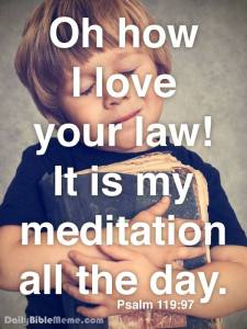 1620960_255339554644343_1905463723_n