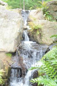 1176199_570889419639205_1633472194_n