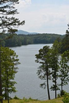 1185602_570889882972492_1155182179_n