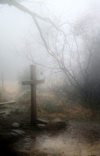 fog-258224_640