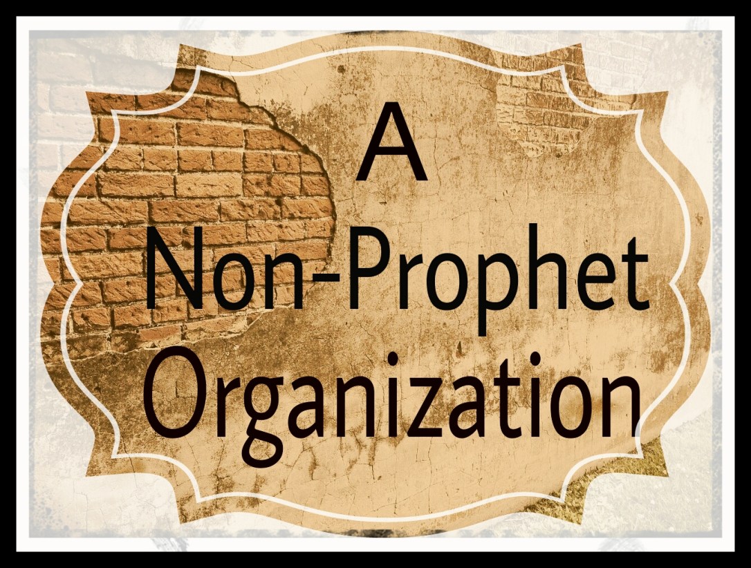 A Non-Prophet Organization