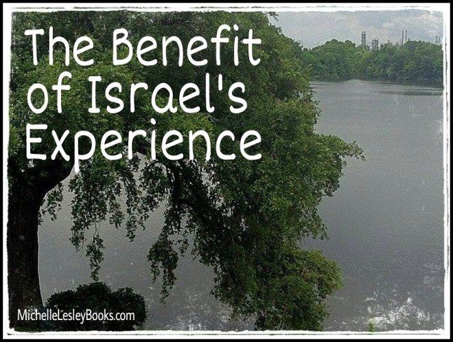Benefit of Israel's Experience