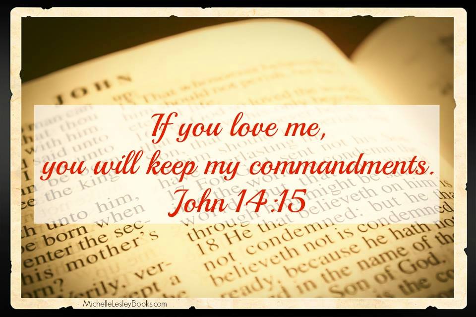 10986473_948035321904069_479617570637935784_n