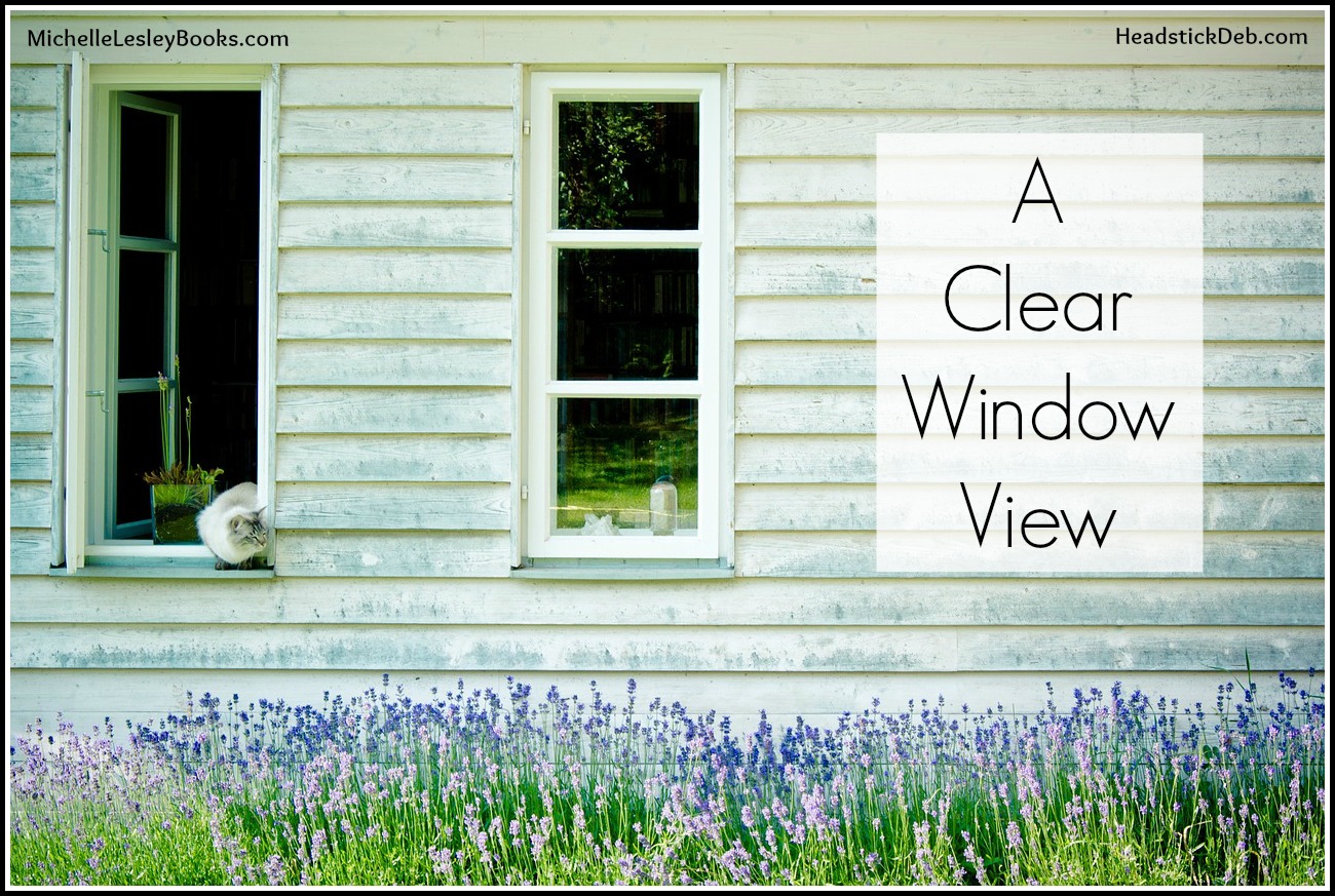 debbielynne kespert clear window