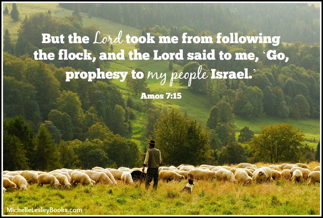 amos 7 15