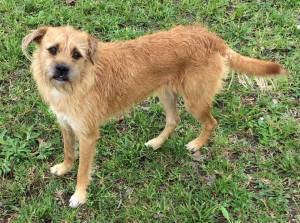 12920430_1066615836718518_8458002385968974867_n