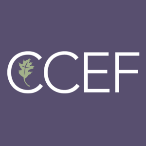 ccef