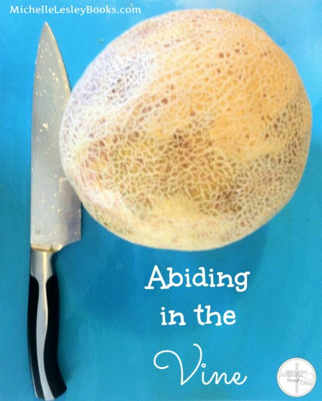 abiding-in-the-vine