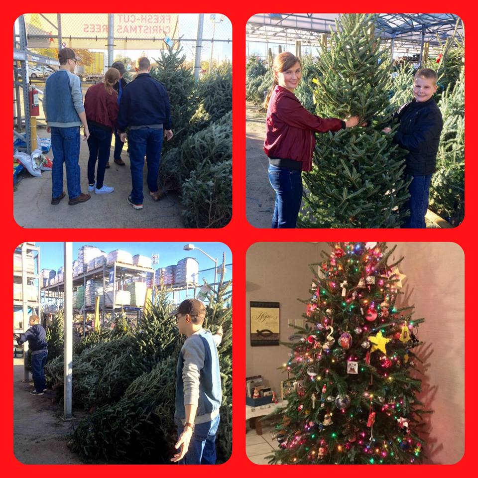 15390933_1497550346952561_8203440308723296225_n