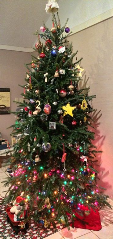 15493639_1504539066253689_4307547966780027519_o