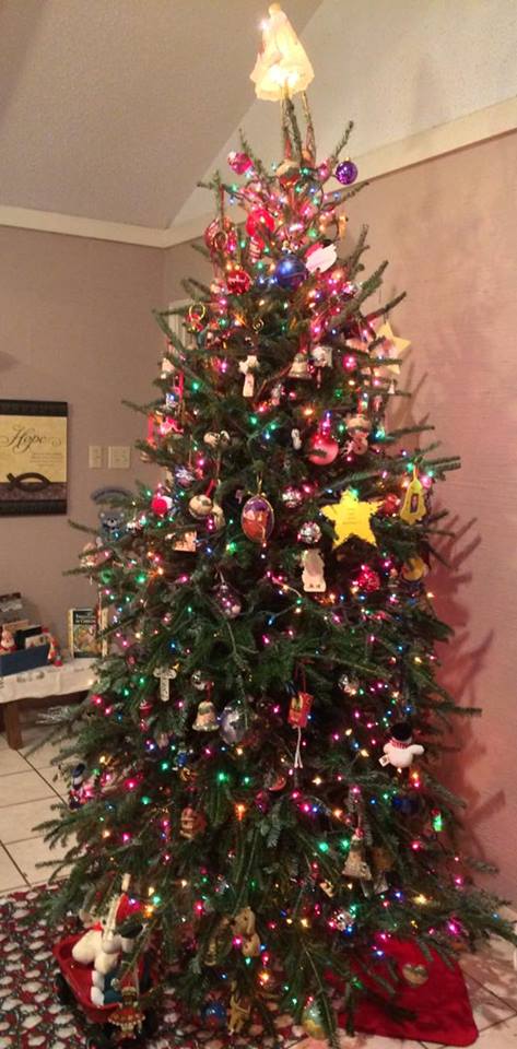 15590045_1504539469586982_5131855764000279749_n