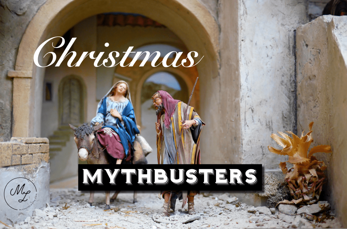 Christmas tree preservative recipe mythbusters