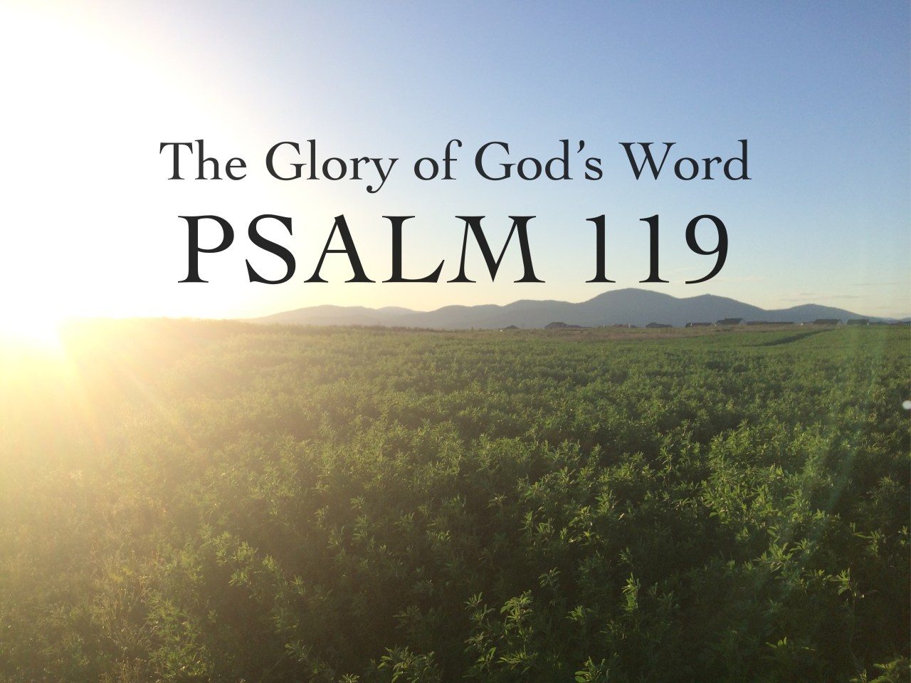 Psalm 119: The Glory of God’s Word ~ Lesson 1- Introduction – Michelle ...