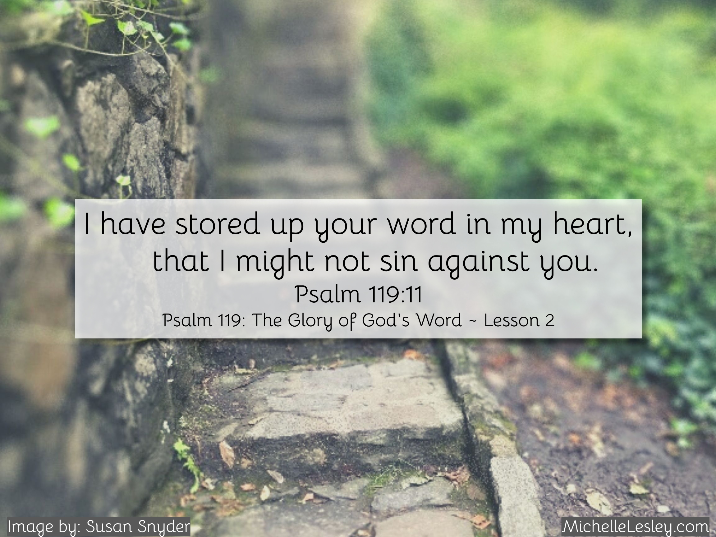 Psalm 119: The Glory of God’s Word ~ Lesson 2 – Michelle Lesley