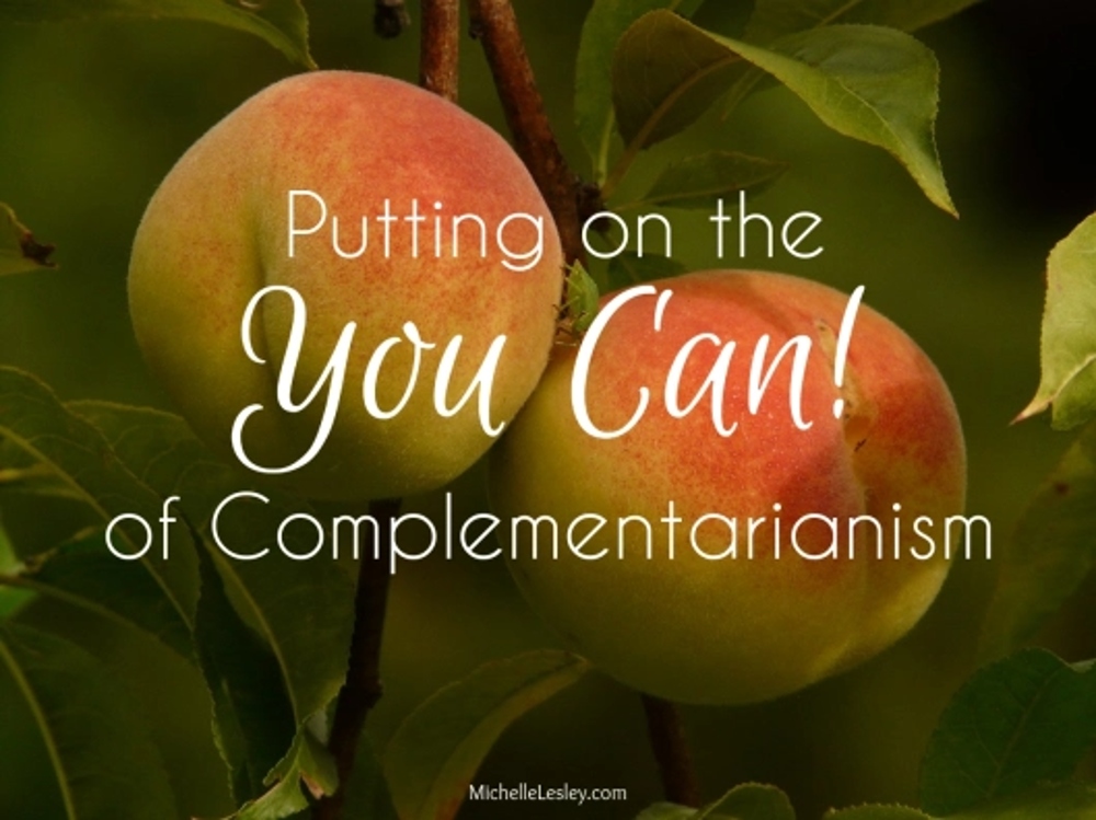 Throwback Thursday ~ Putting on the “You Can!” of Complementarianism ...